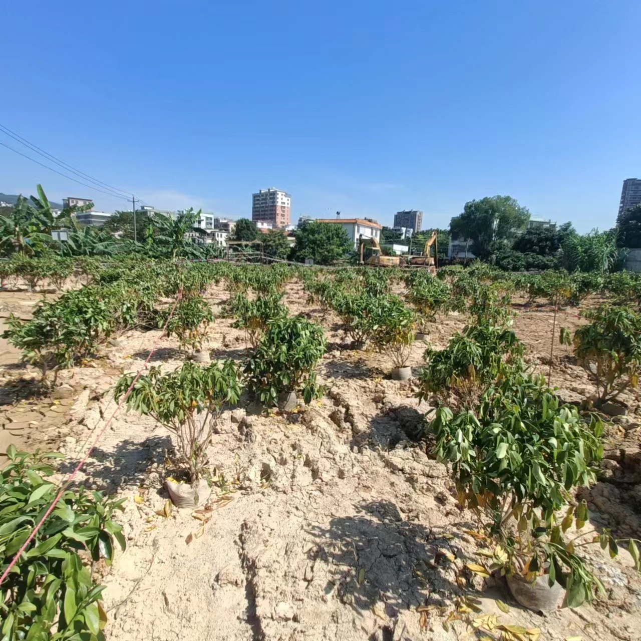 圖4 整改現狀.jpg