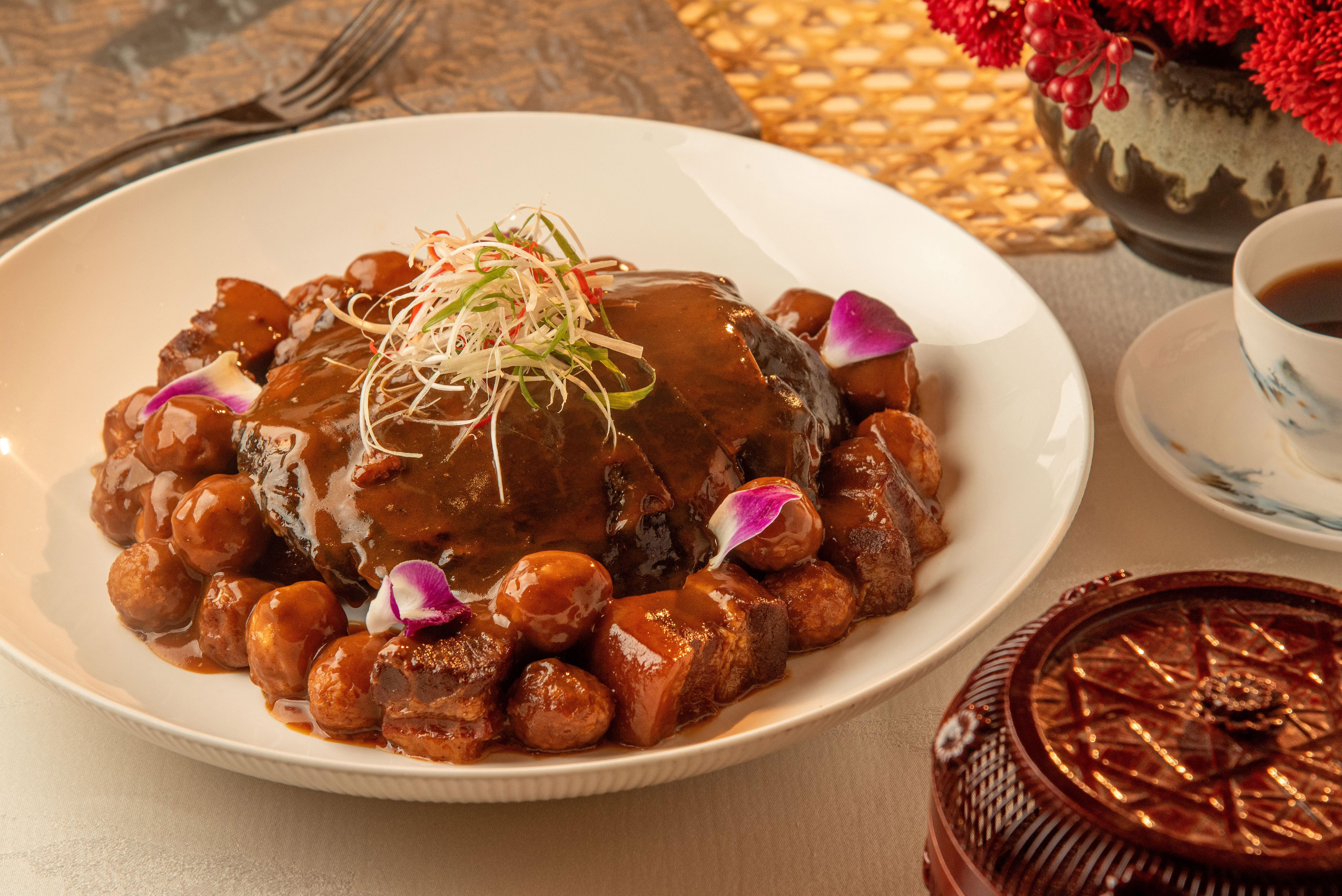 JSC-Soft-shelled Turtle (2).jpg