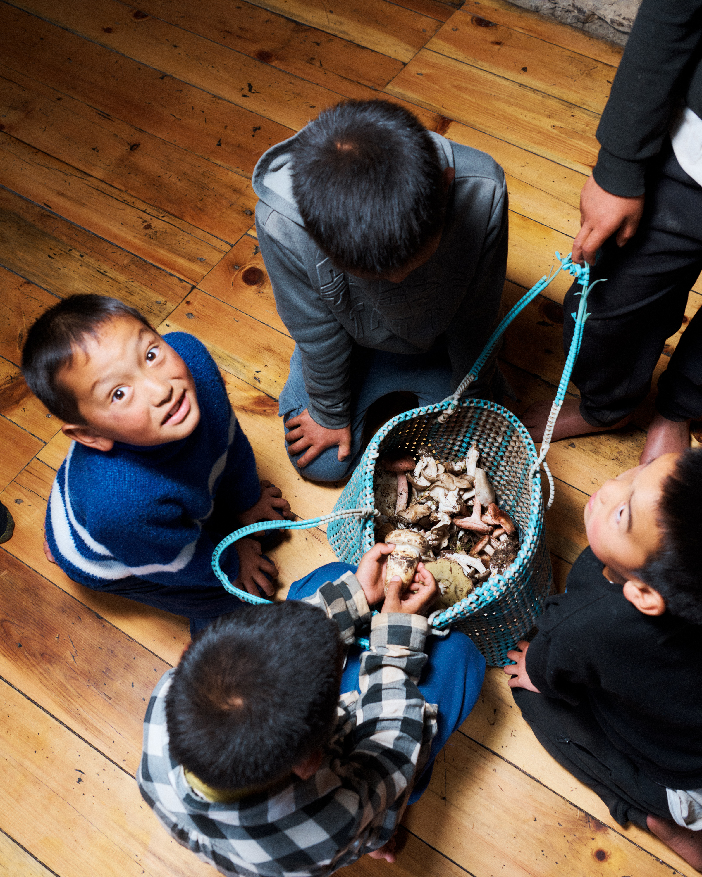 Mushrooms in Bhutan 7.jpg