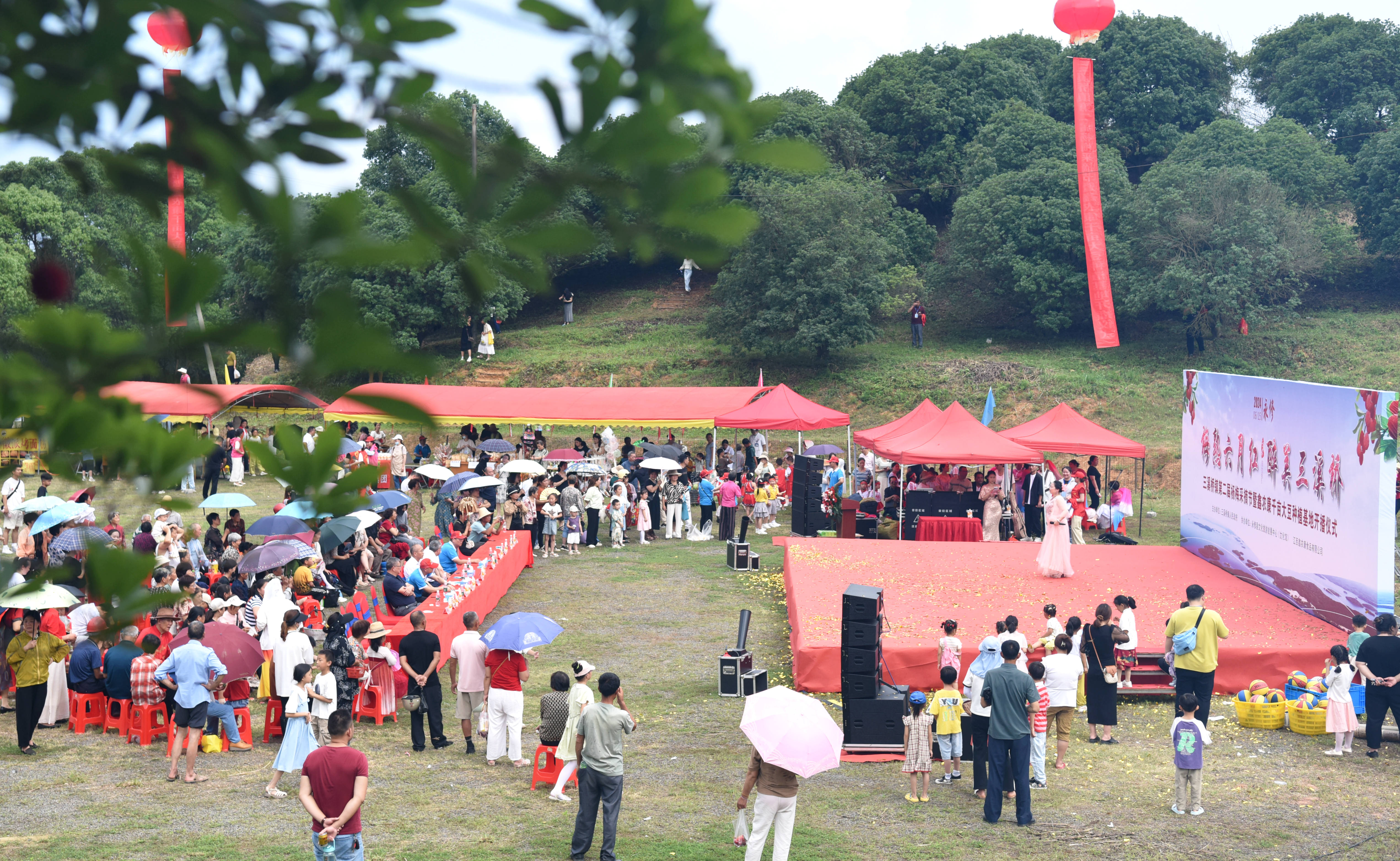 图一 杨梅采摘节活动现场十分热闹。（胡传丰 摄）.JPG