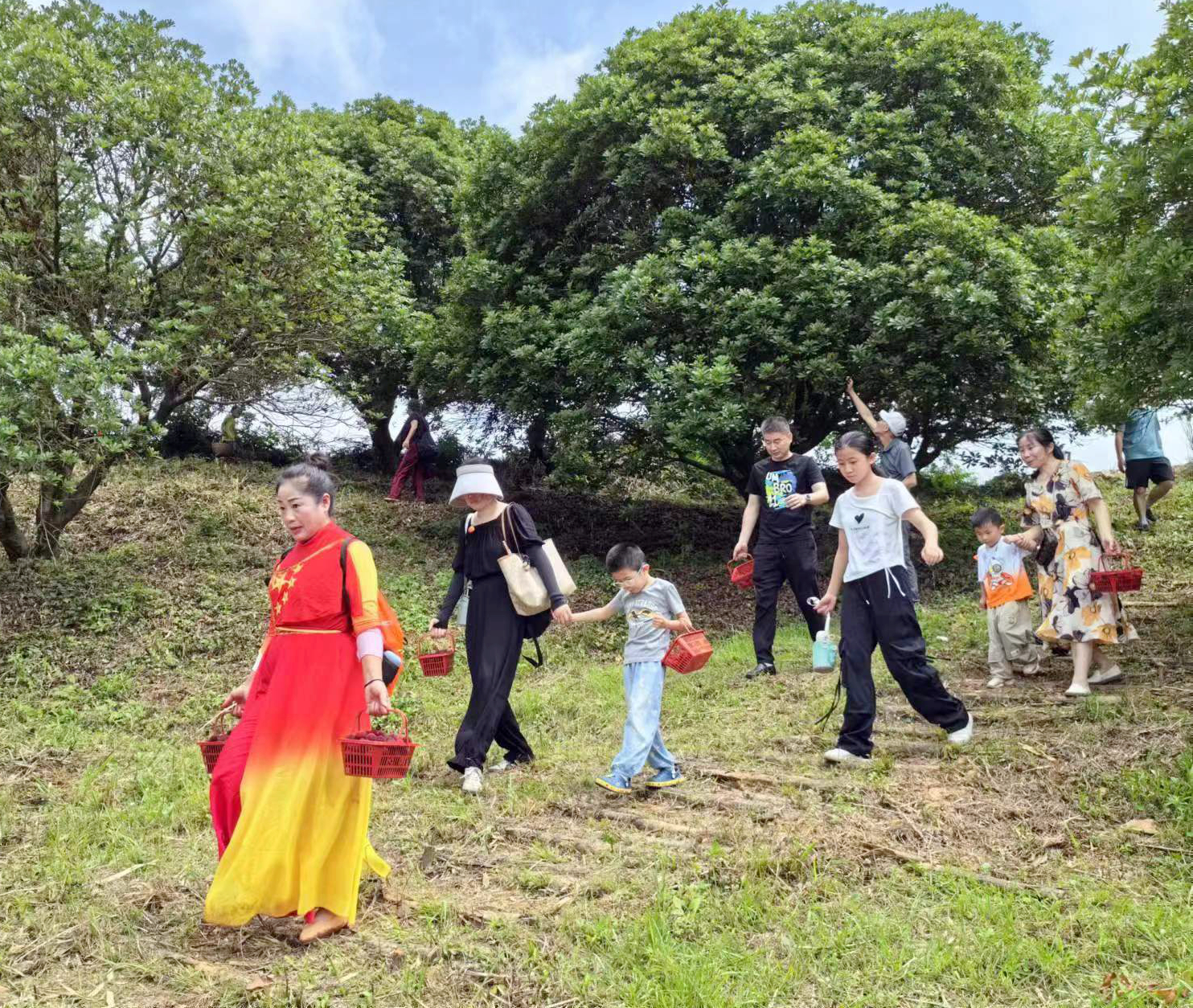 图二 杨梅采摘吸引远近游人纷至沓来。（胡传丰 摄）.jpg