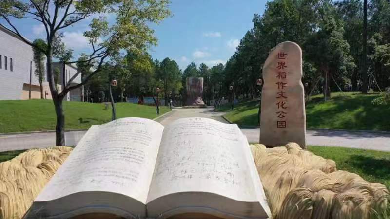 图二  世界稻作文化公园.jpg