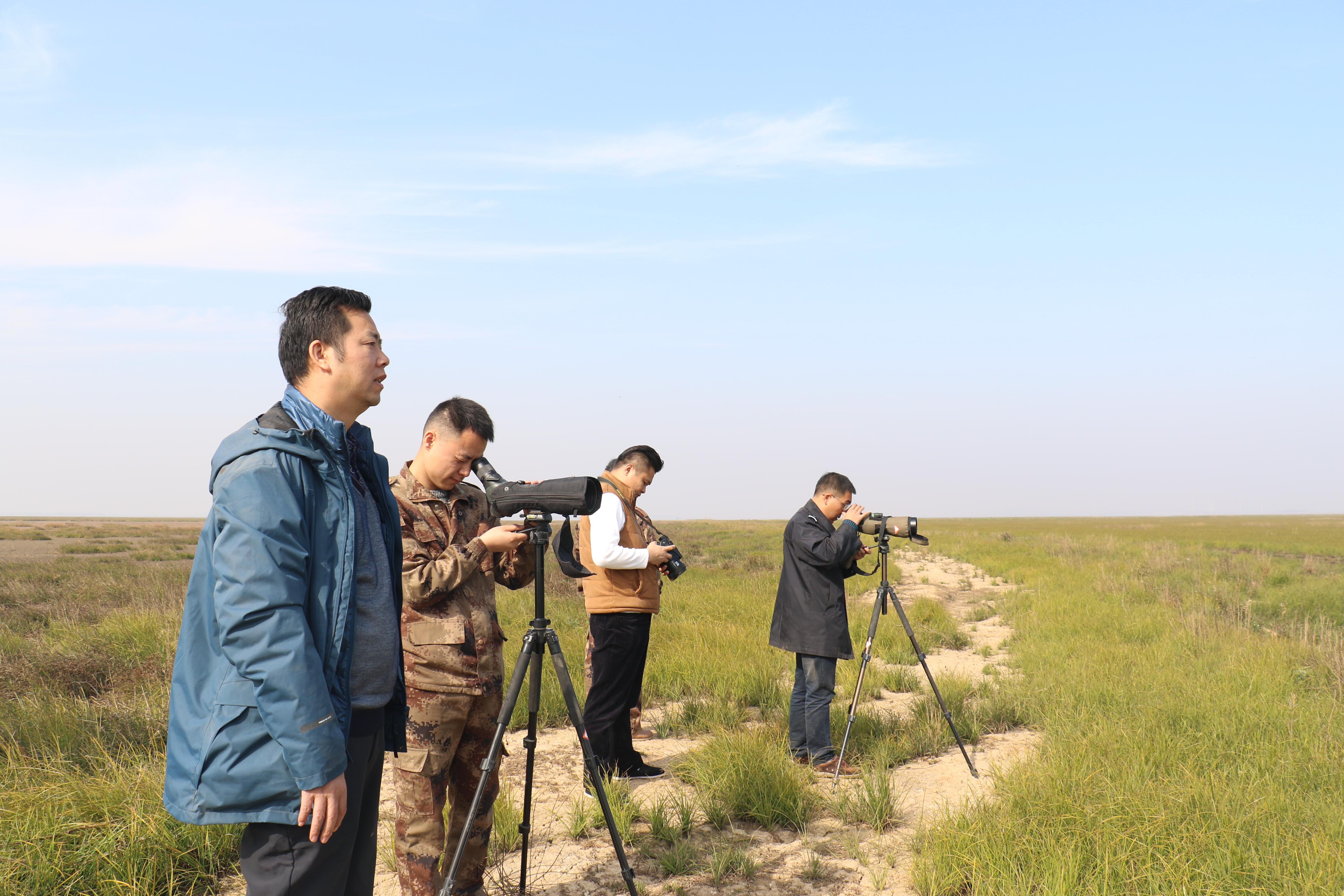 图4：鄱阳湖保护区开展冬季鸟类监测(1).jpg