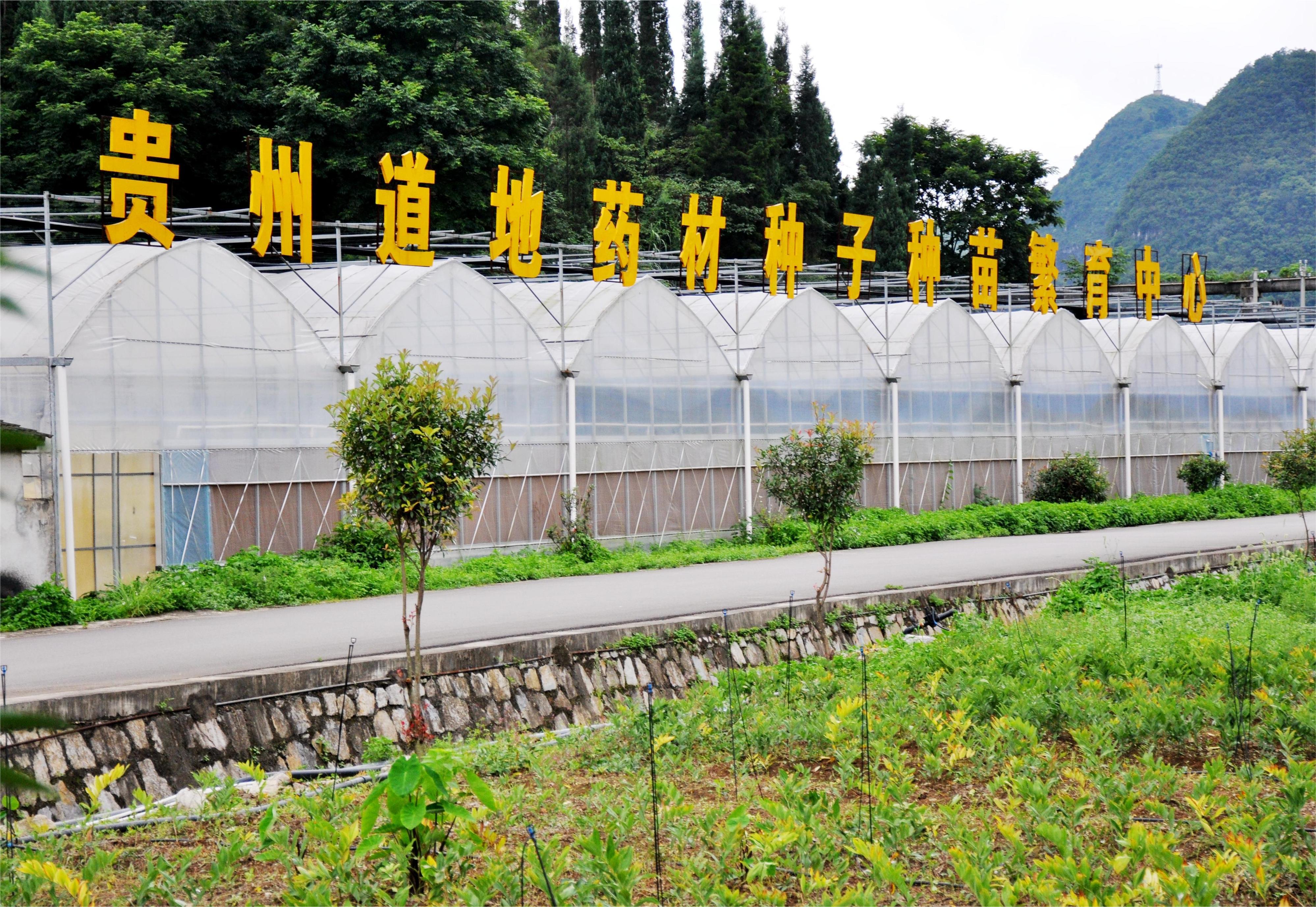 圖4:建在關嶺的貴州道地藥材種子種苗繁育中心.jpg