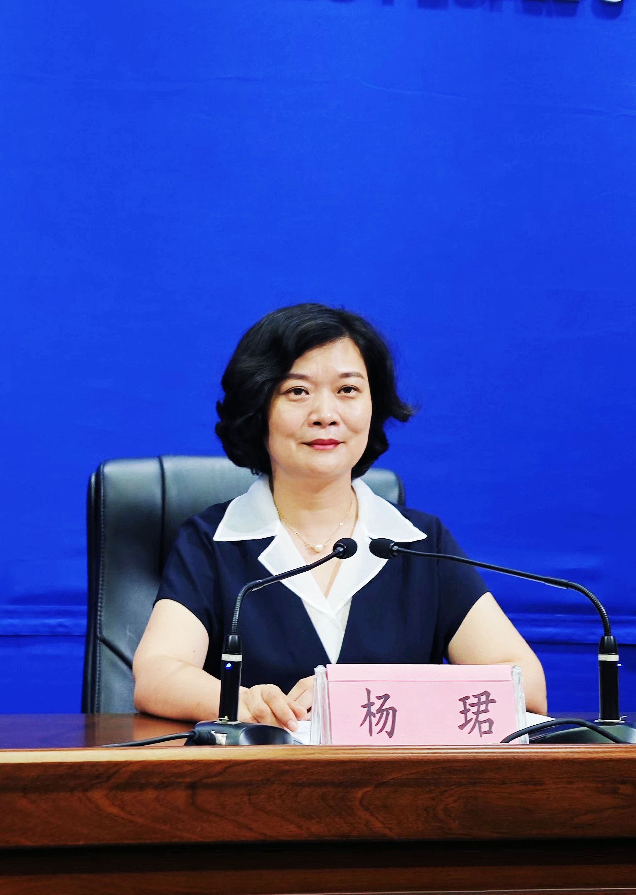 图二 九江市文广旅局党组成员、副局长杨珺介绍活动相关情况.jpg