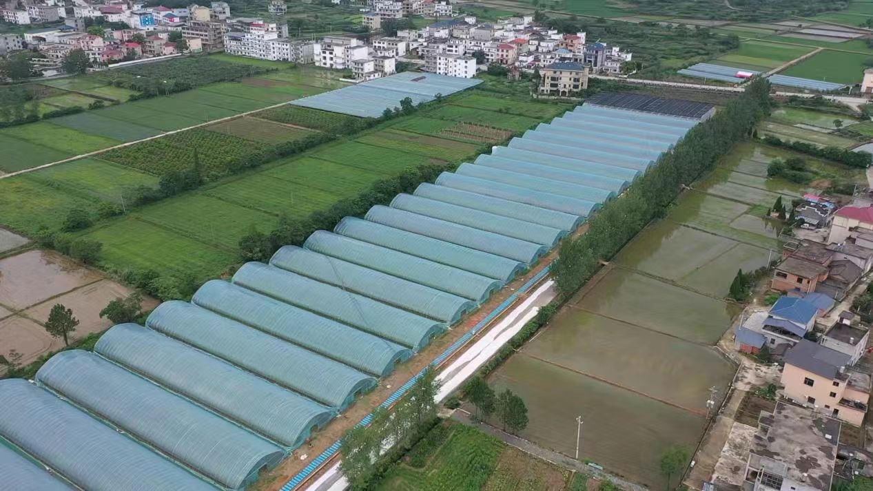 图四 星安农业开发有限公司.jpg