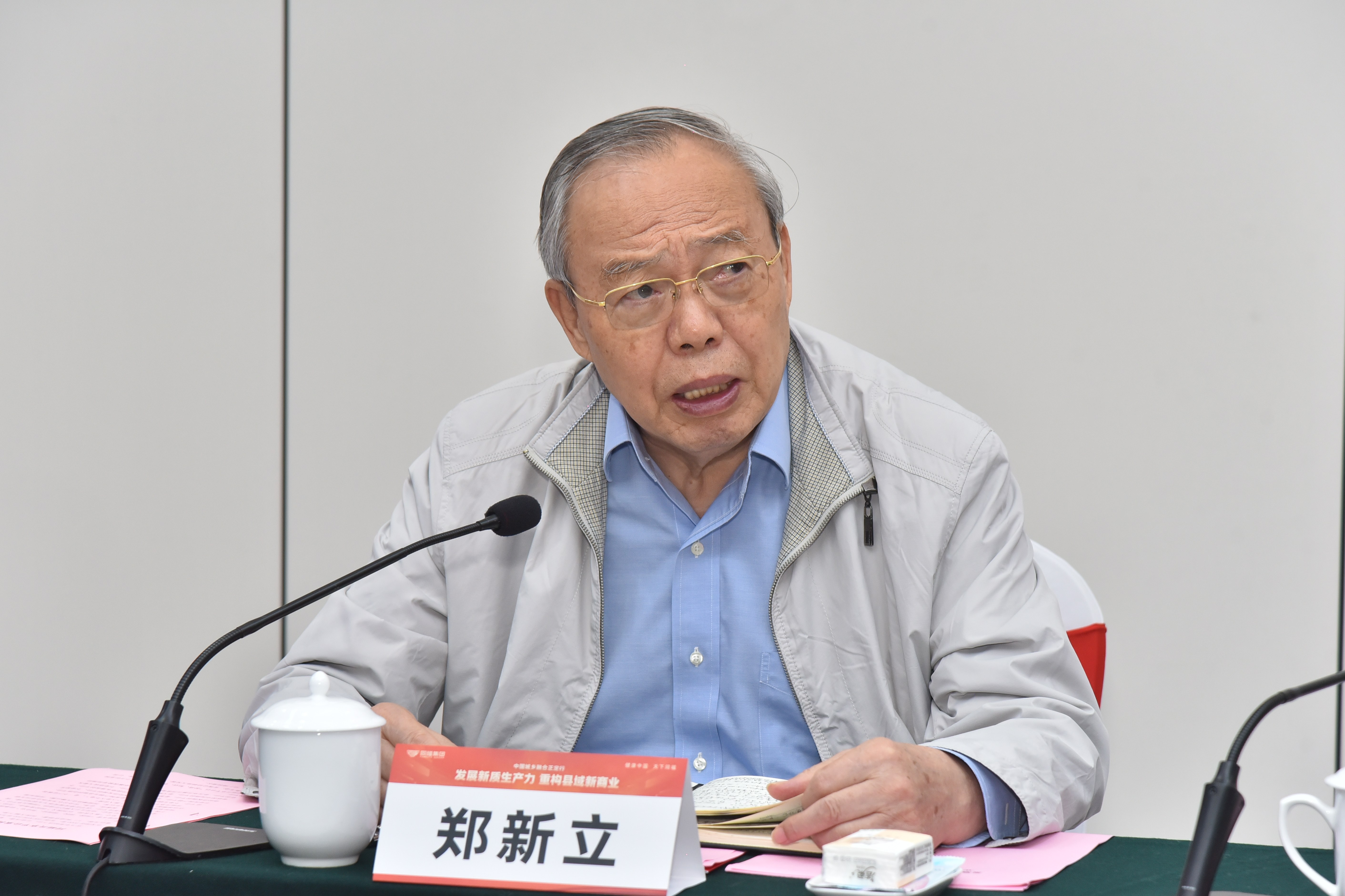 图片5： 中央政策研究室原副主任、中国国际经济交流中心副理事长郑新立在座谈会上致辞.jpg