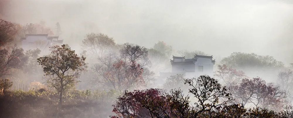 CoNDLmU11ER-1epjAAEepup4TG0 (1).jpeg