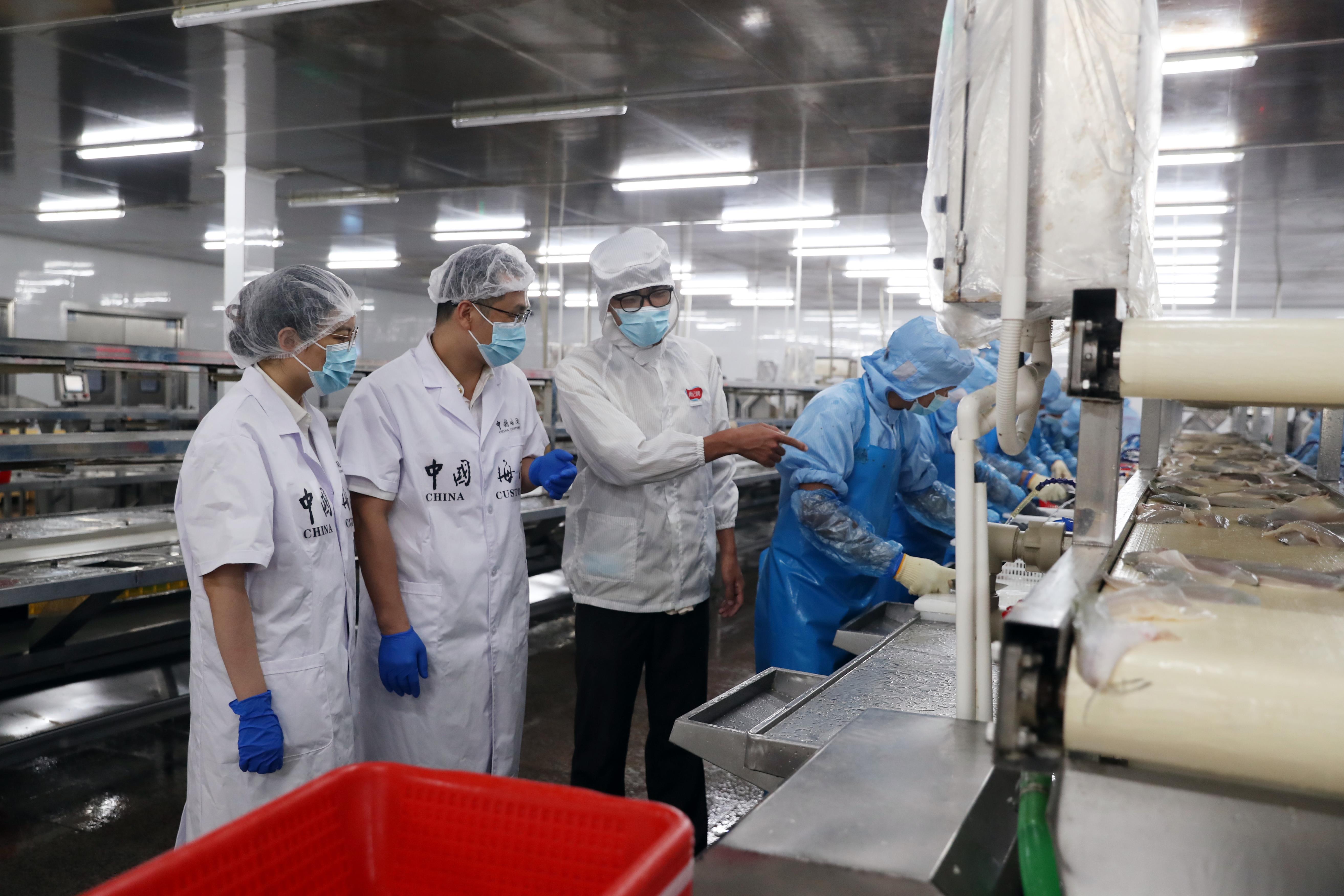 （小）图为：佛山海关驻南海办事处关员对出口冰鲜鱼片进行查验2 刘苗苗摄.jpg