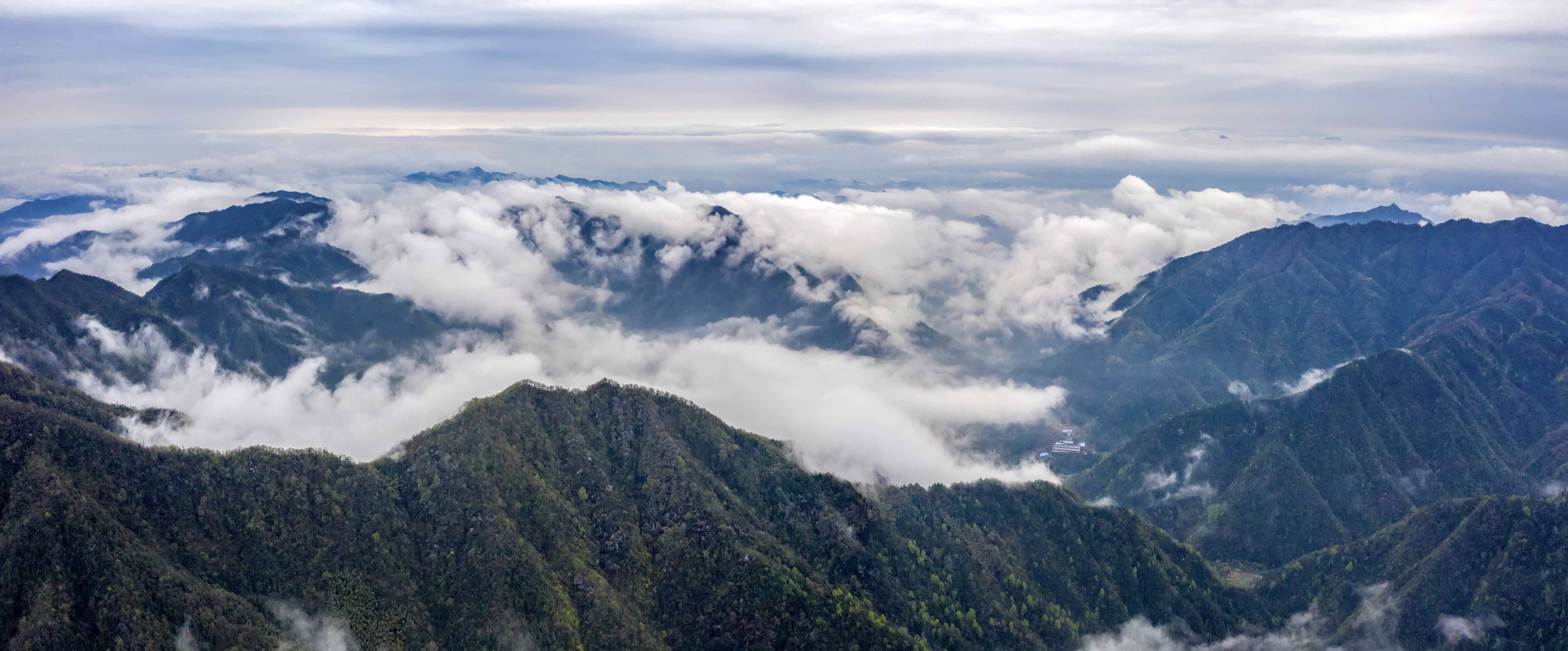 图一  武宁太平山生态风光.jpg