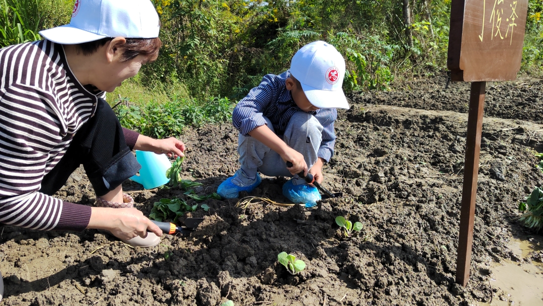 圖1圖説：青少年在「共富農場」進行應季蔬菜播種實踐.jpg