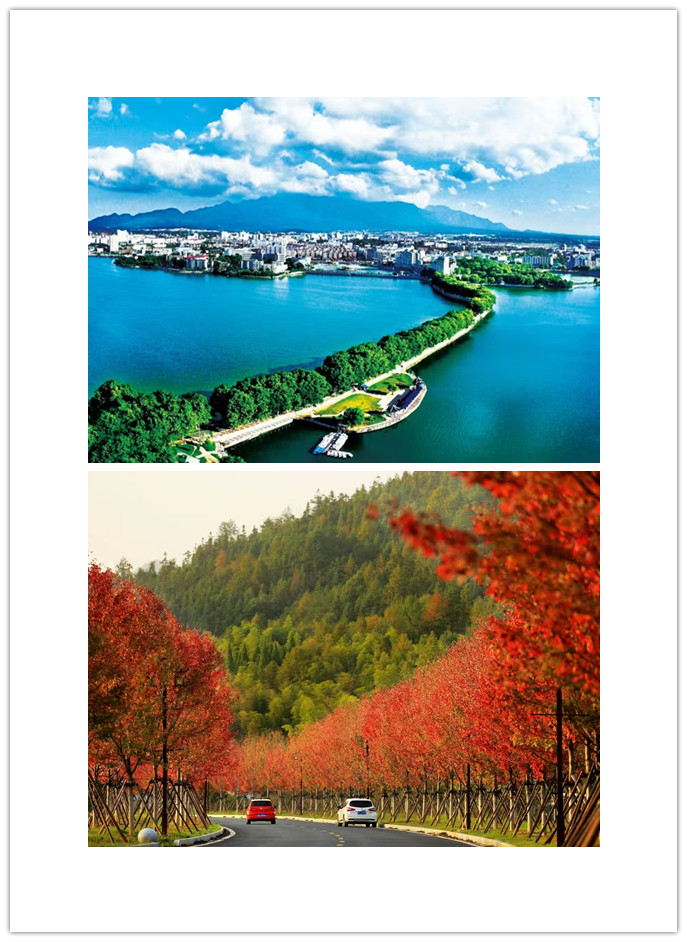 图三 美丽的护堤绿化1.jpg