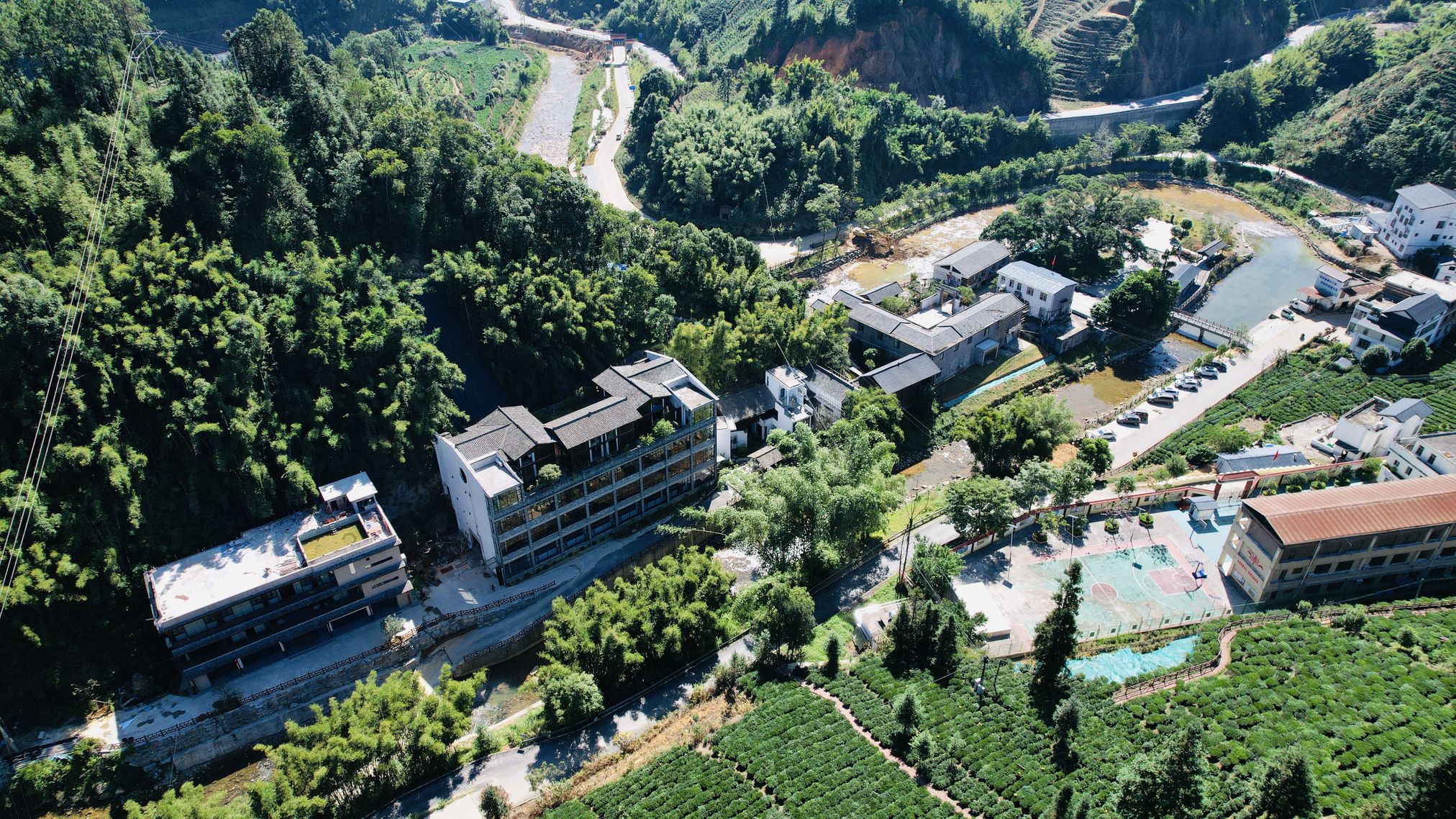 2.黑石山茶廠（蒼梧縣融媒體中心 供圖）.jpg