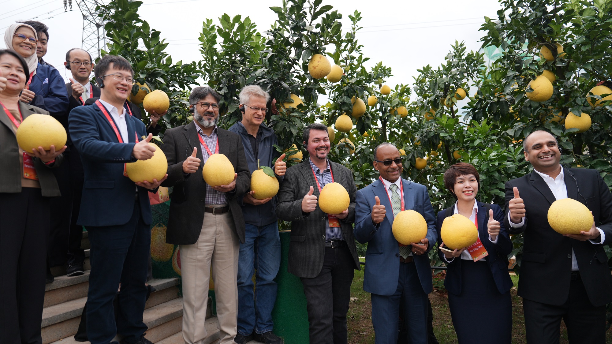 图四：国外柚类专家齐聚广丰区西坛田园综合体.jpg