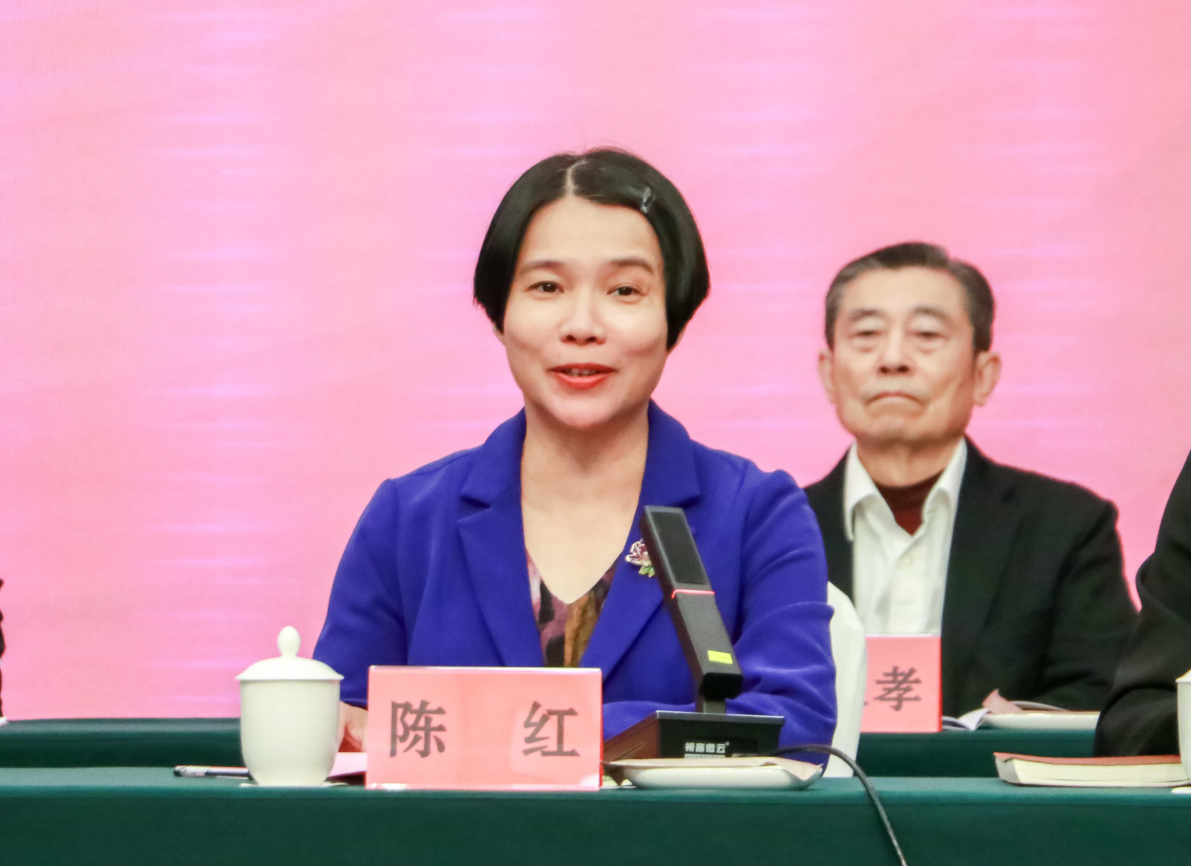 圖2 漳州市僑聯黨組書記、主席陳紅發言.jpg