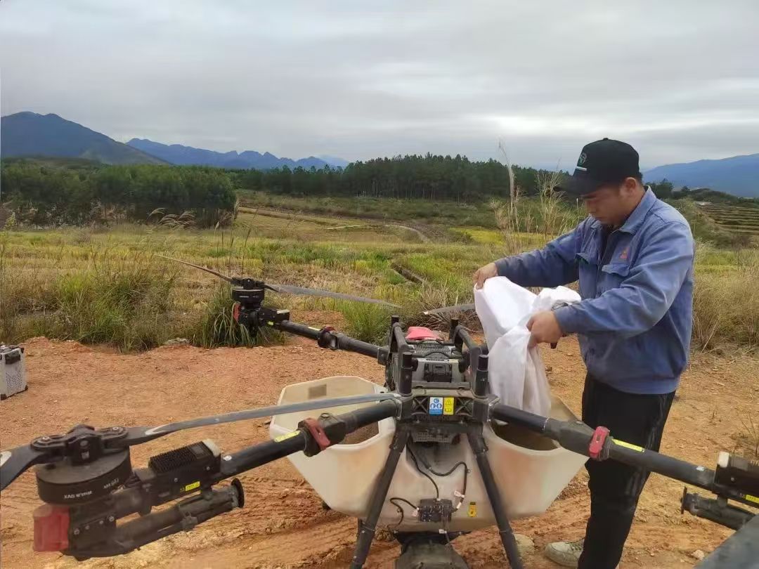 4曲江樟市镇东约村连片水稻田，技术人员用无人机将紫云英种子均匀播撒在稻田里.jpg