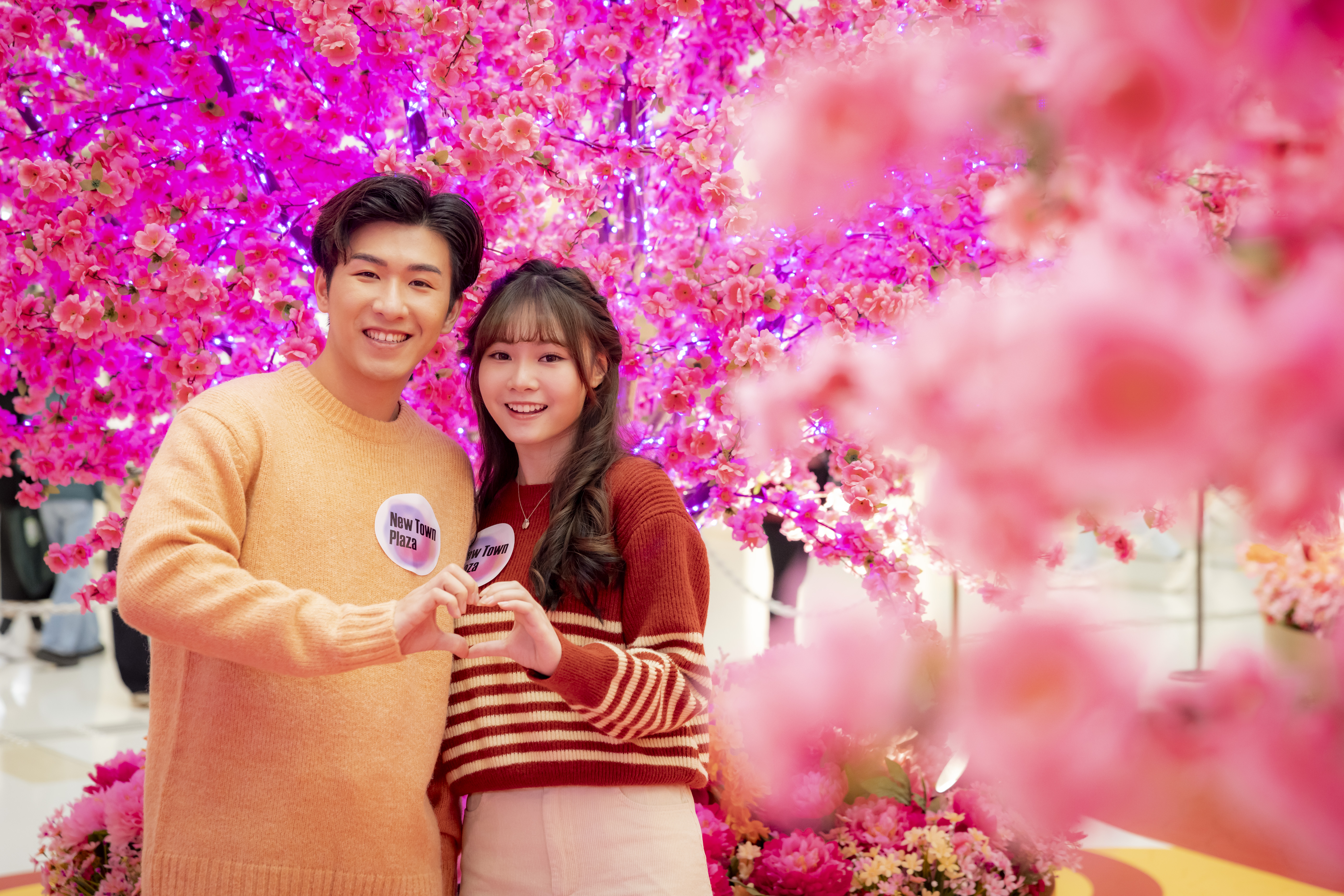 幻彩桃花祈願林 (5).JPG