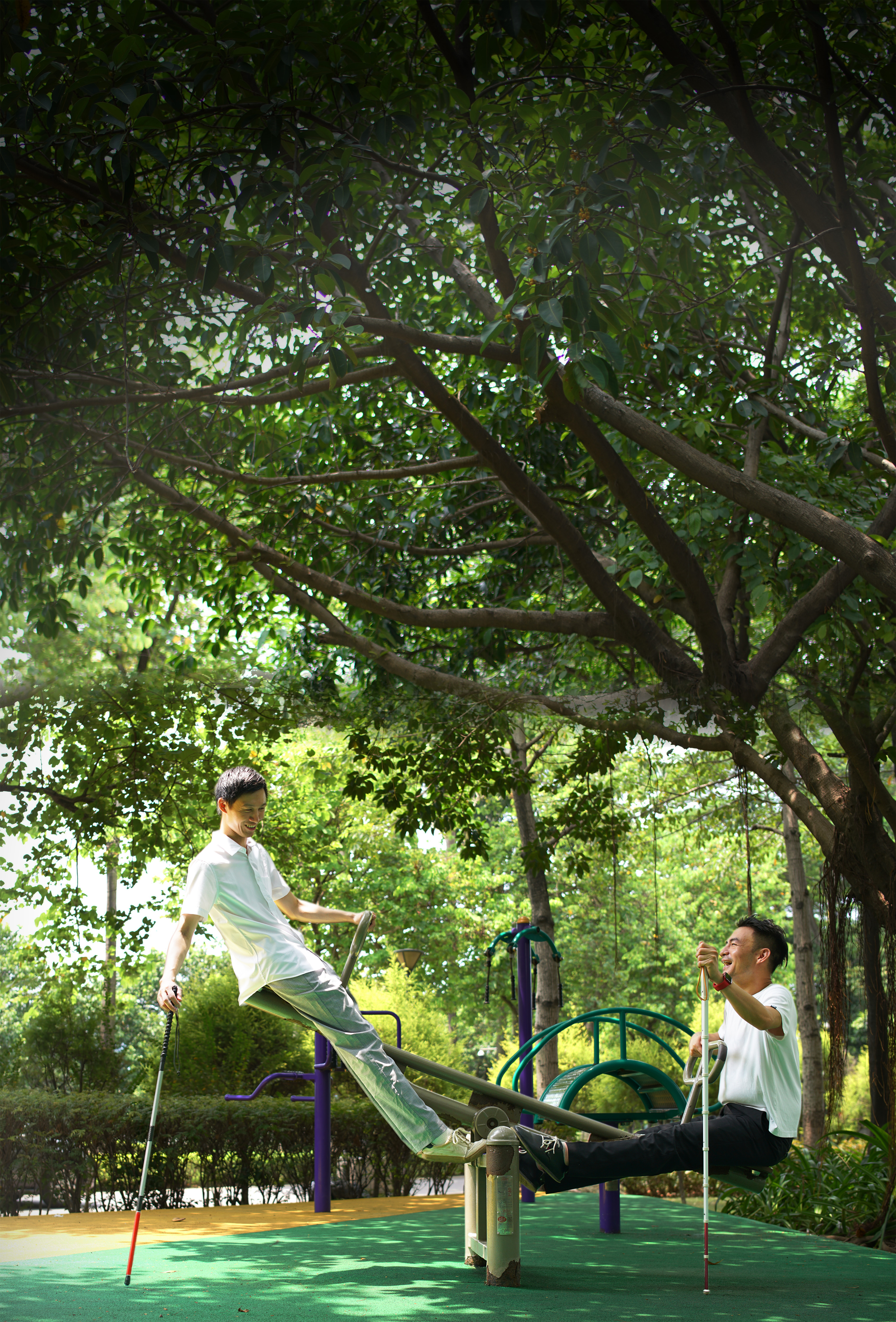 Hide and Seek-1_攝影_ Feng ShunXu 馮舜旭.jpg