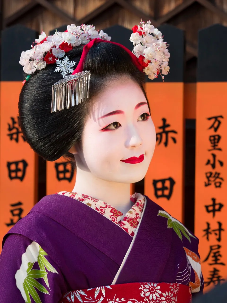 Geiko and Maiko_960x1280_02_Ron Cooper_iJn60.jpg