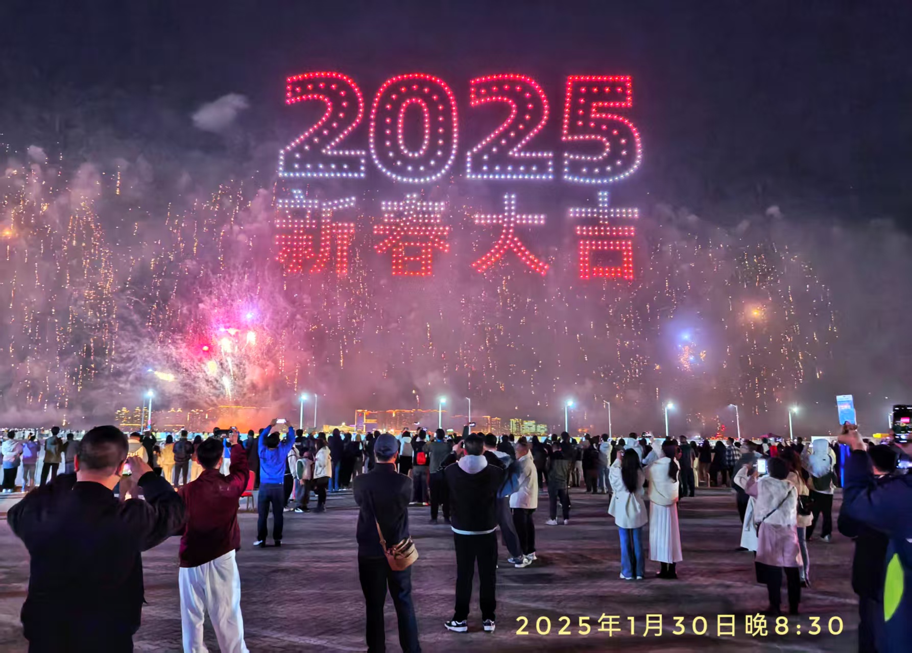 2025年迎新春大型焰火晚會(攝影 林兆雄).jpg