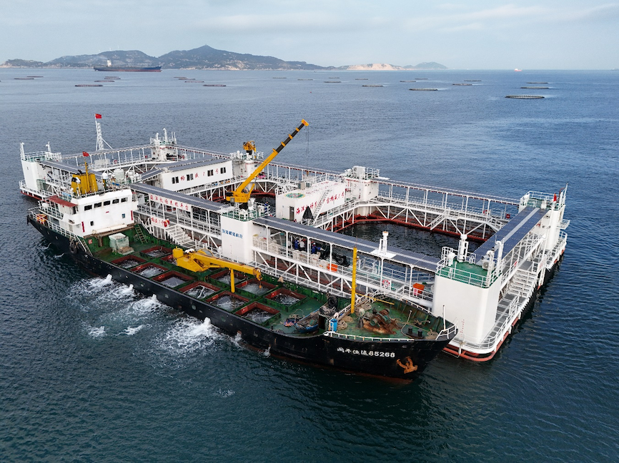 图2 “格盛1号”起捕收鱼.png