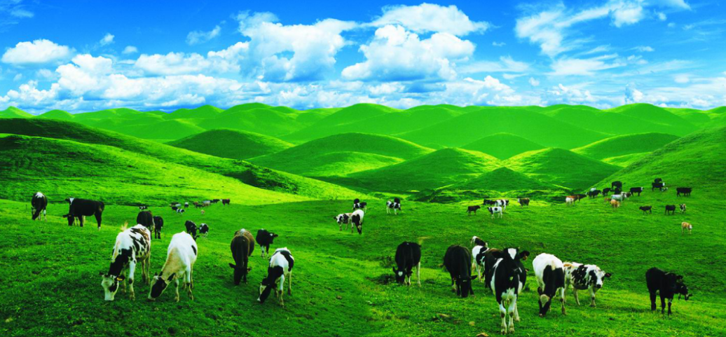 屏幕截圖 2025-03-31 102941.jpg