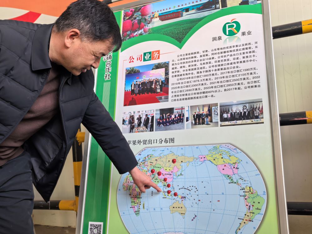 潤泉現代農業科技開發公司副總經理趙存向媒體記者介紹蘋果出口分佈.jpg