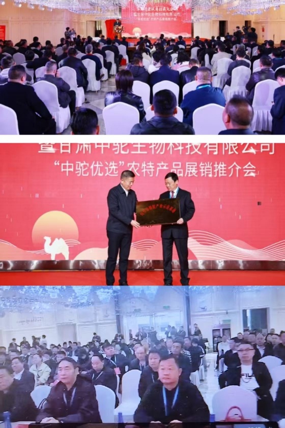 mmexport1744276869506.jpg