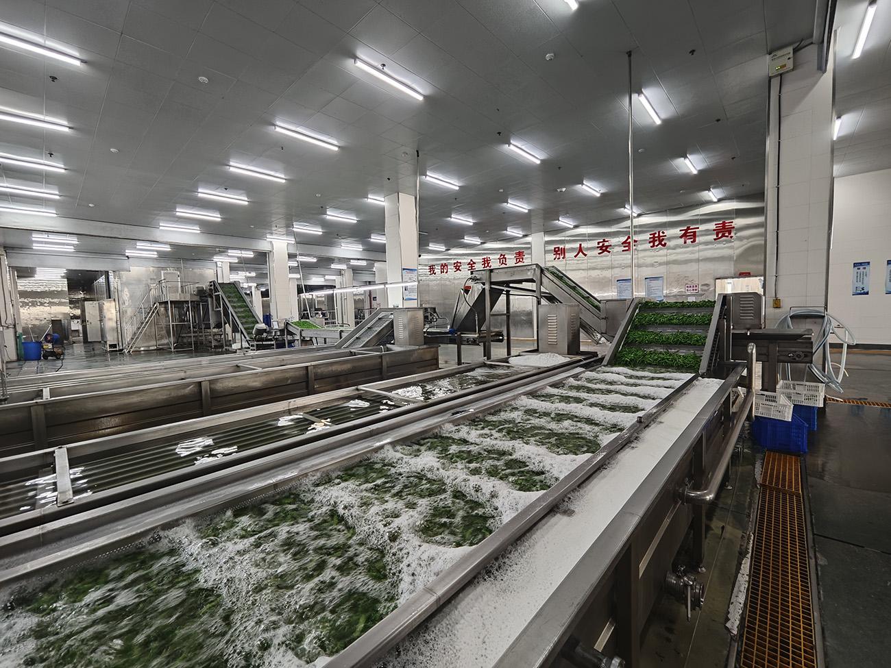 圖3：如皋市中皋農產品科技發展有限公司已建成2條速凍蔬菜和1條速凍玉米全自動生產線。.jpg