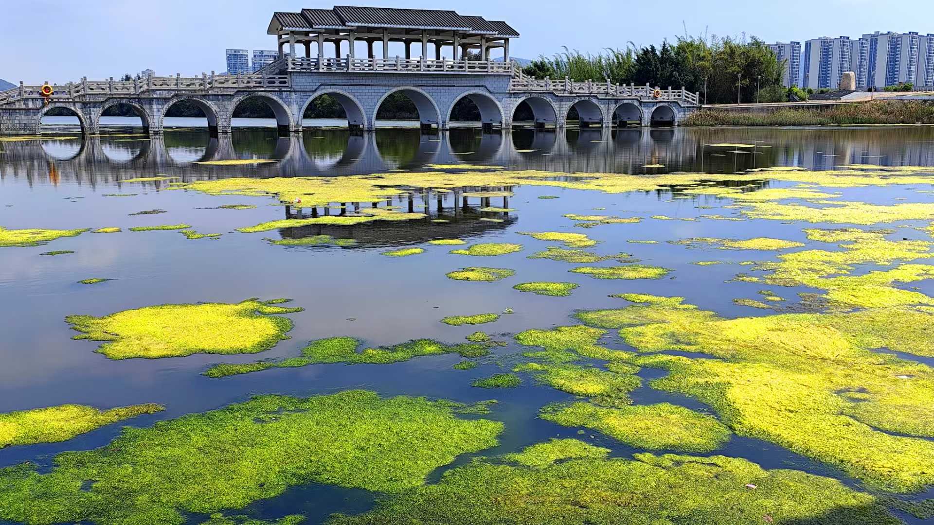 汕頭鳳崗媽濕地公園（攝影 吳劍群）.jpg