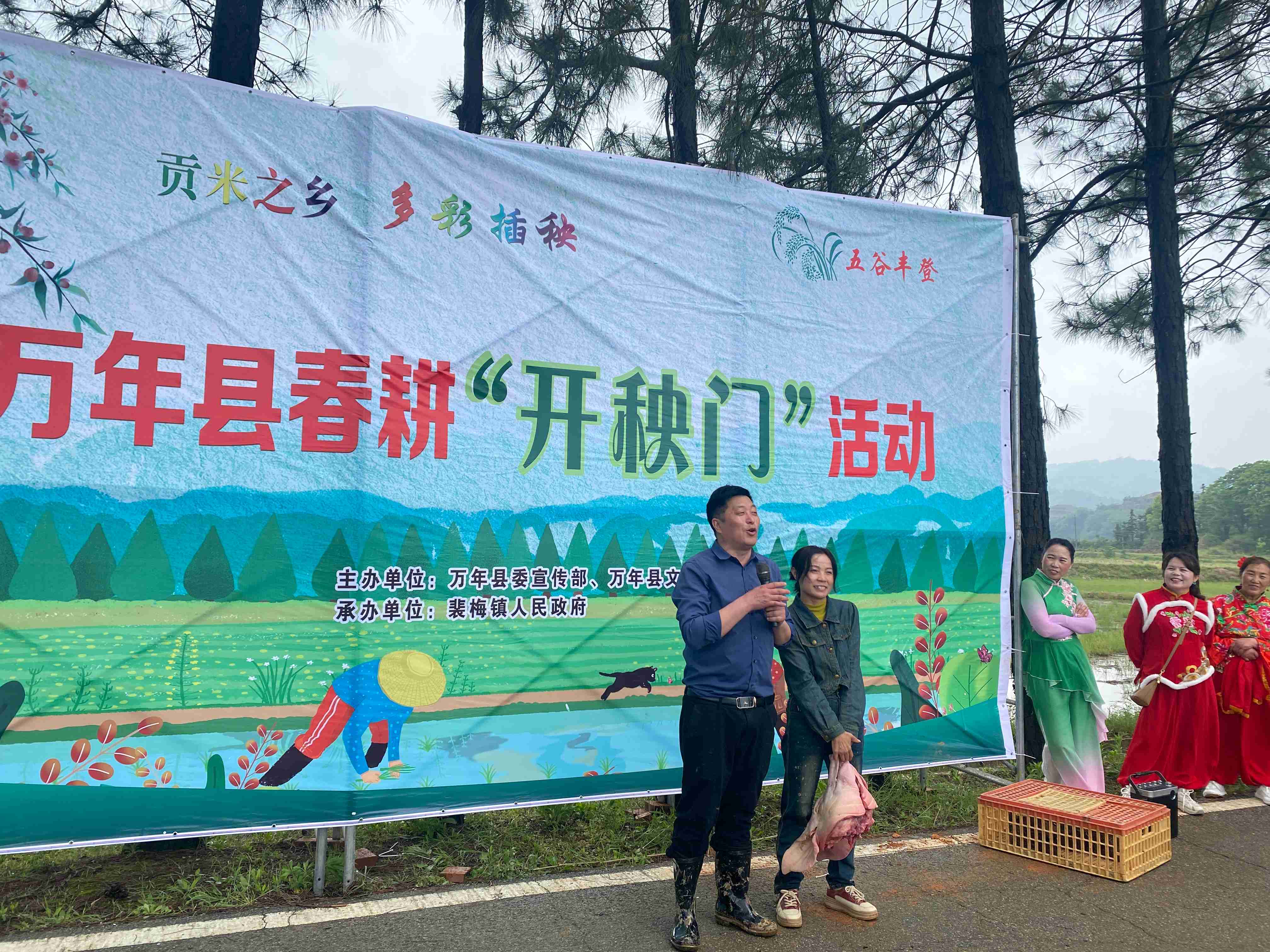 图4:万年县春耕“开秧门”活动插秧比赛冠军徐金梅在领取大猪头奖励(1).jpg