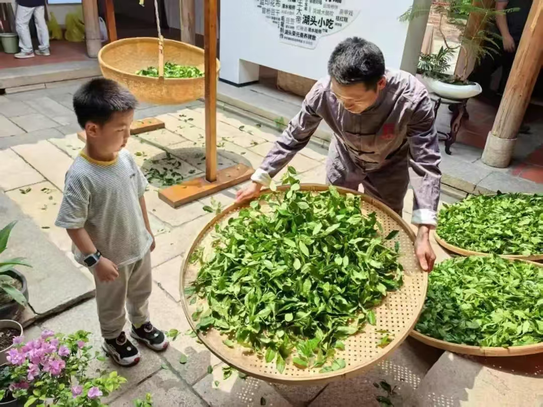 感德茶师傅教小朋友晒青工藝.jpg