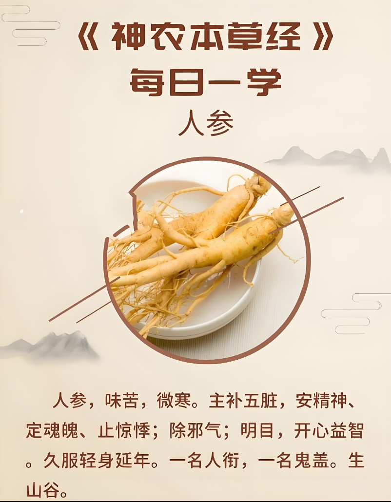 圖說一:《神農本草經》關於人參的記載.jpg