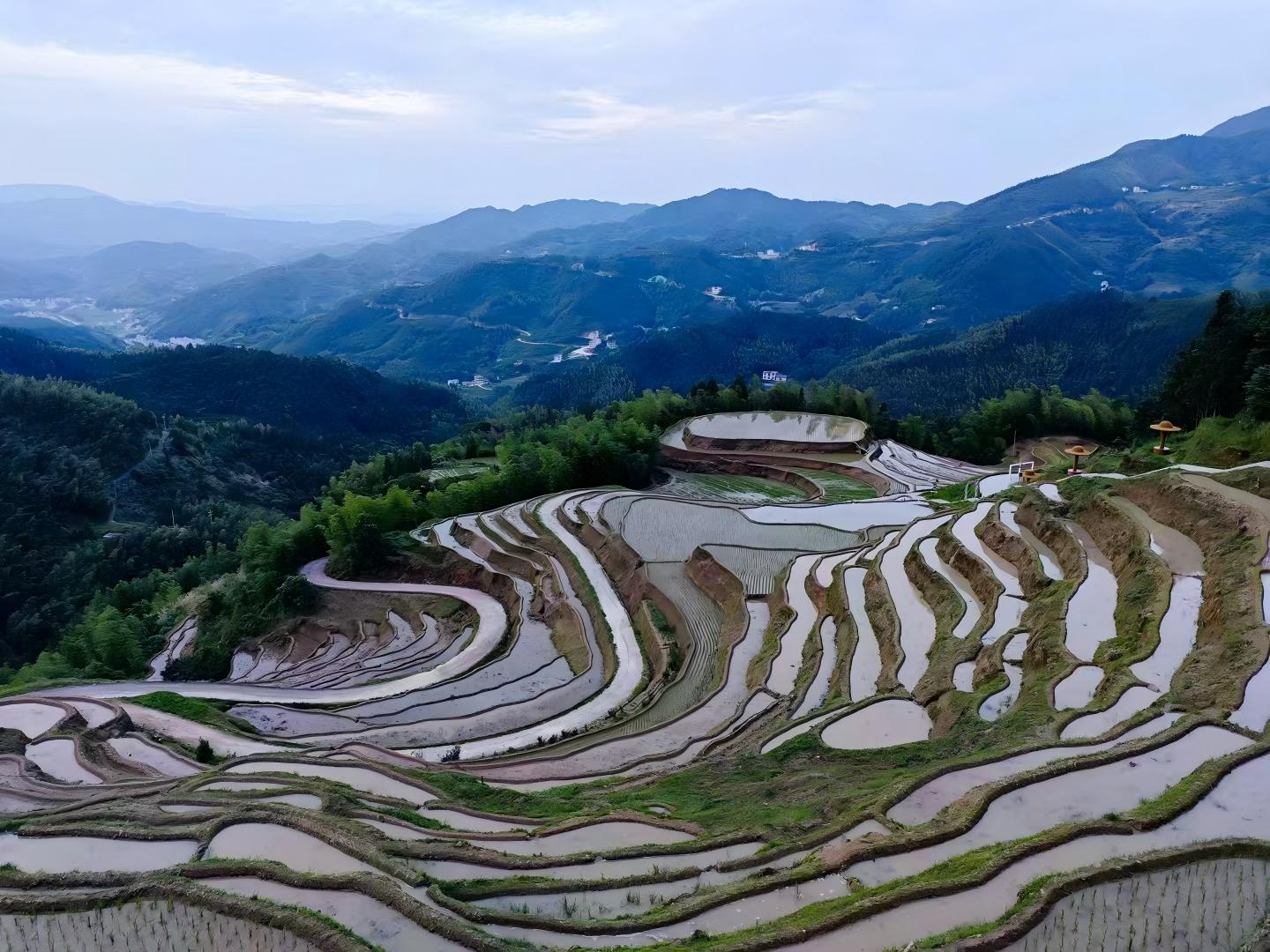 图1：桃源梯田(1).jpg