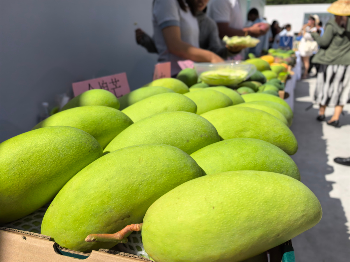 2、現場展示的芒果品種.jpg