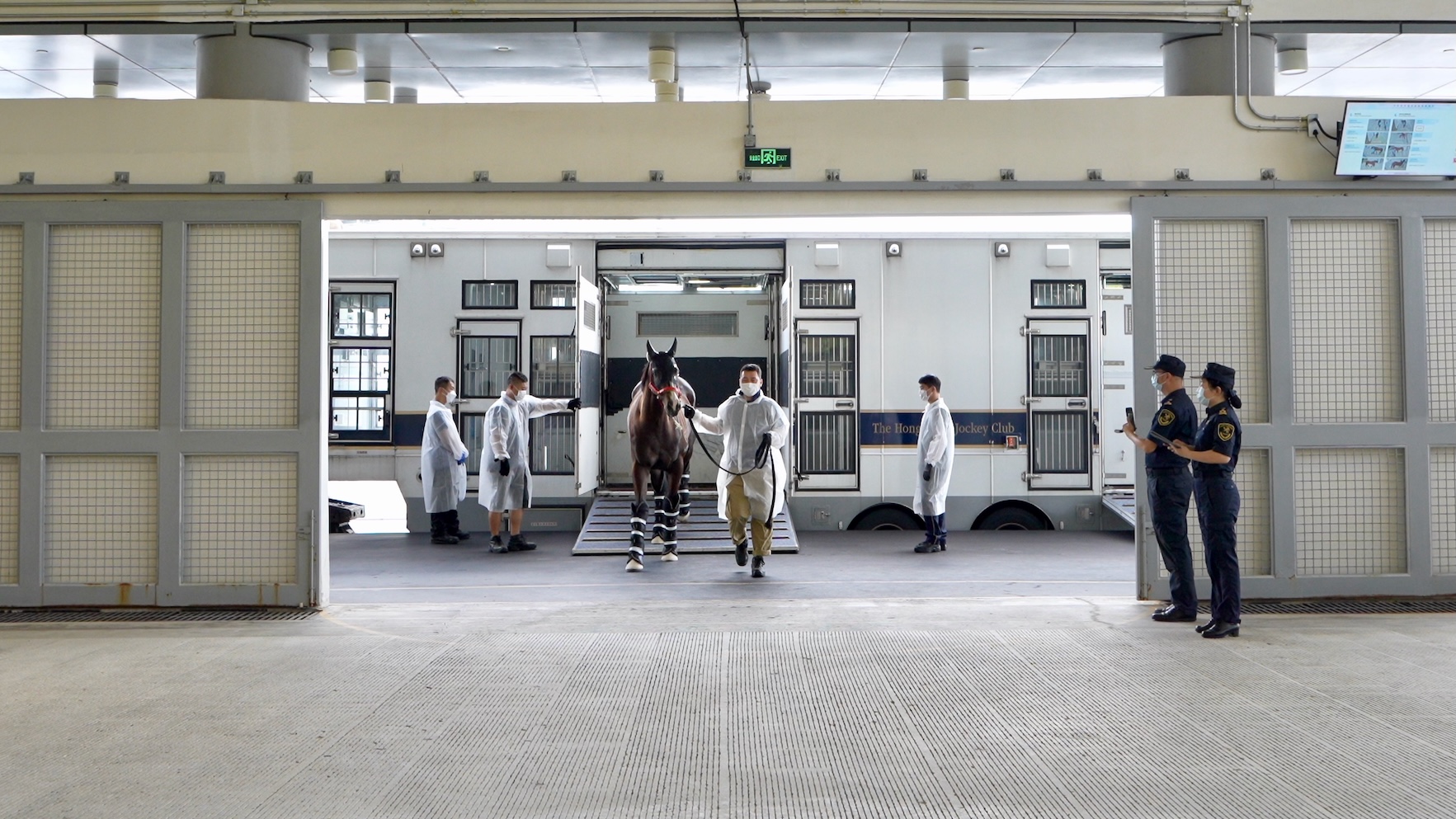 圖為：香港賽馬會運送粵港跨境馬匹的車輛停靠海關監管查驗平台，廣州海關所屬從化海關關員對進境馬匹進行監管（韓建全 攝）.jpg