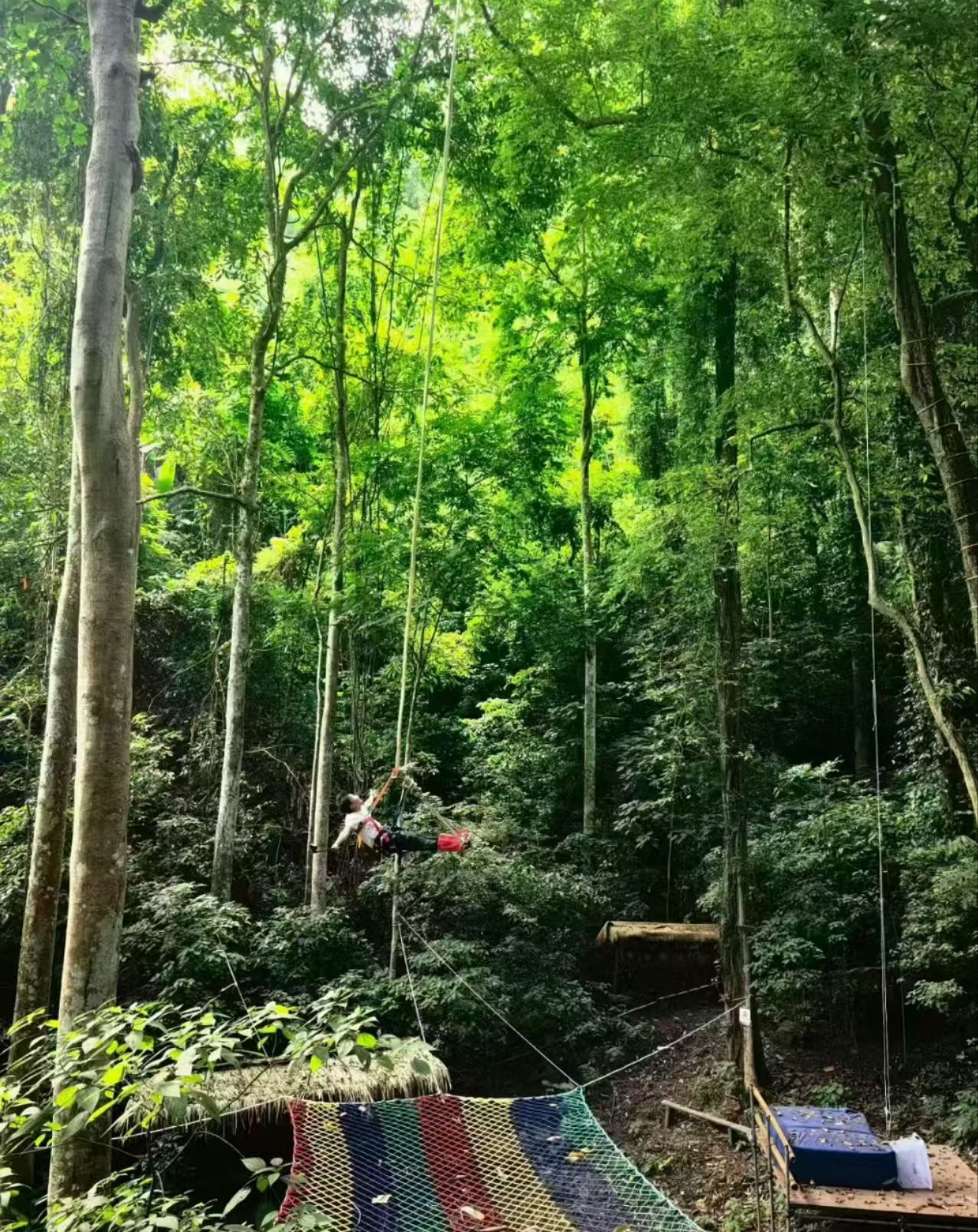 stream1812938757_1759988014644.jpeg.jpeg