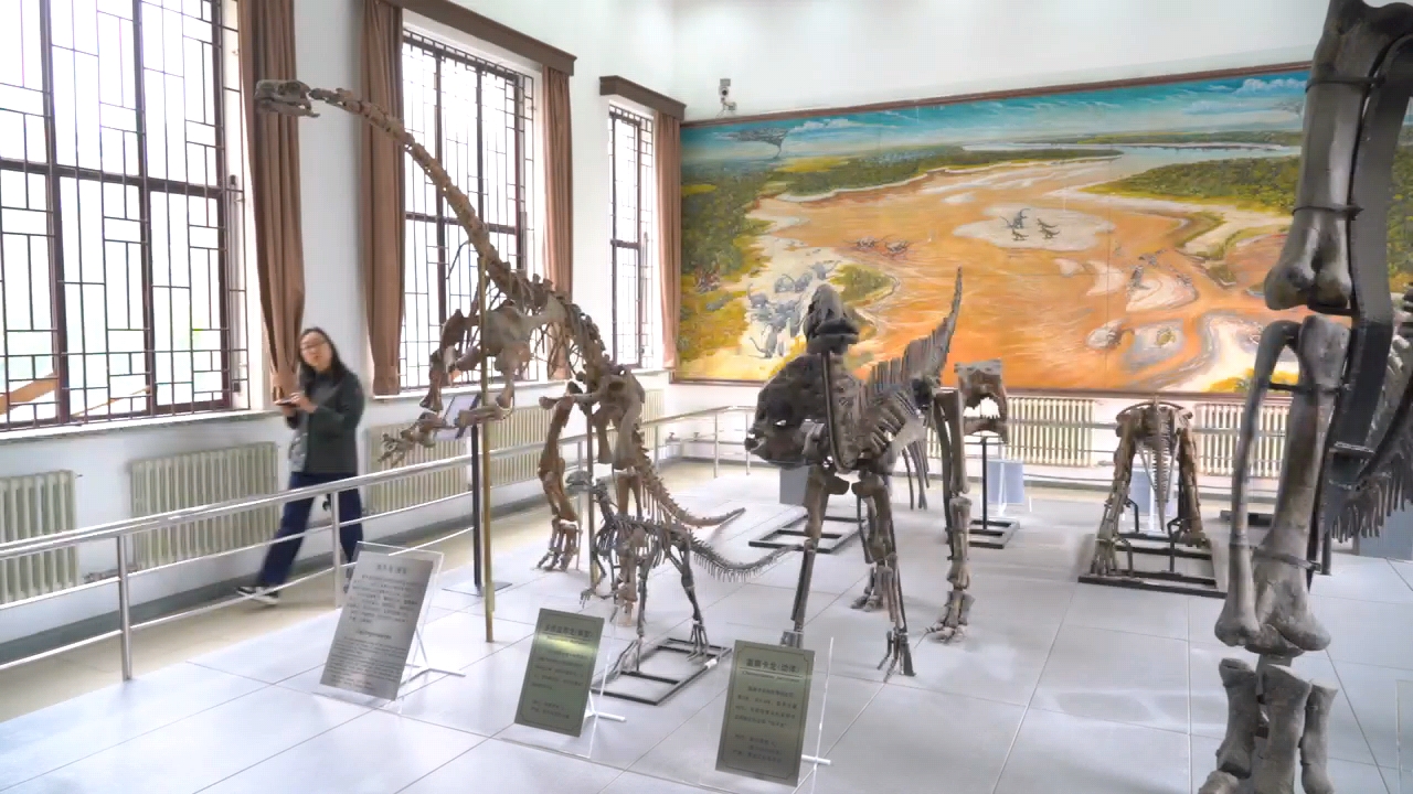 圖說一：鎮館之寶——「嘉蔭卡龍」的完整骨架 郭家源 攝.jpg