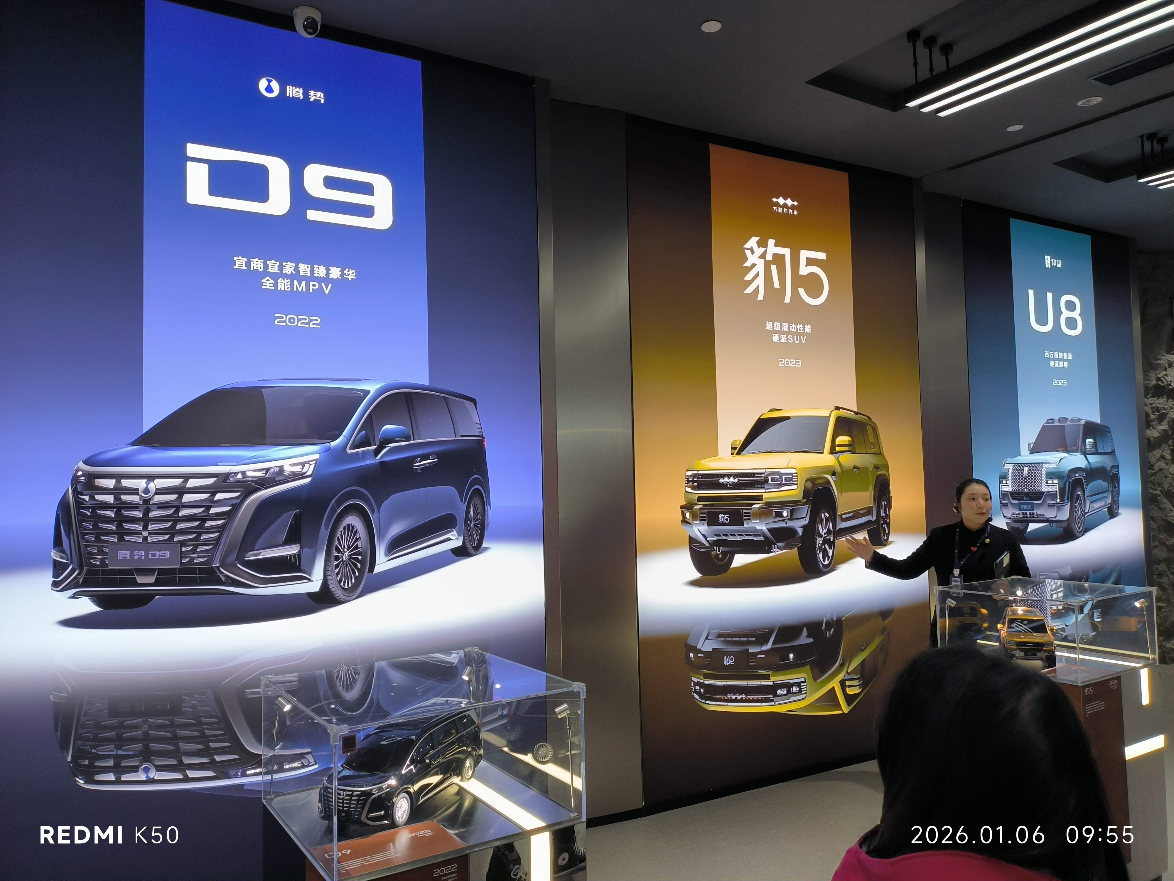 BYD2-6.jpg