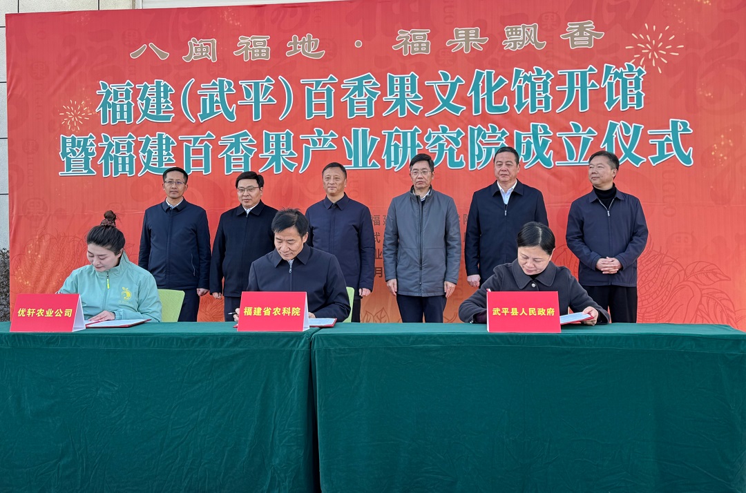 圖二：福建（武平）百香果文化館開館暨福建百香果產業研究院成立儀式。.jpg